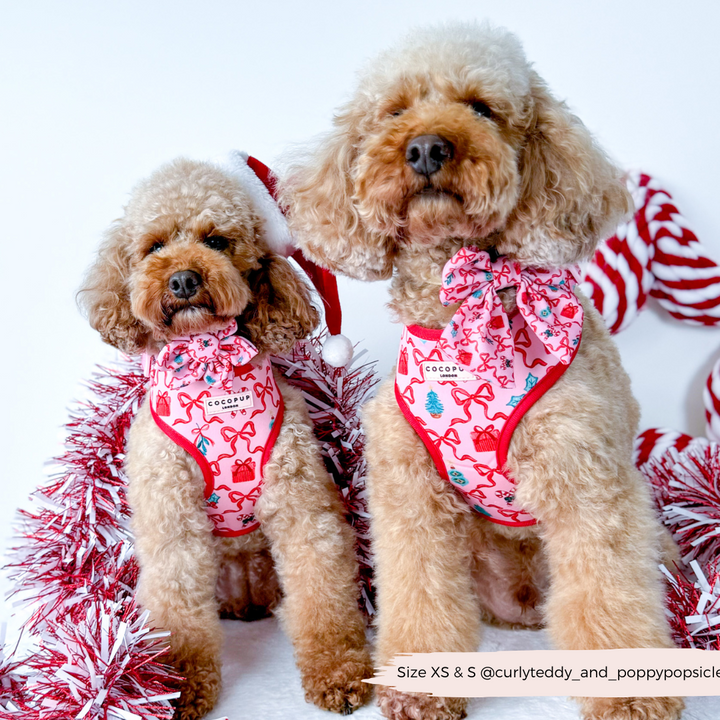 Pupmas Kisses Collar Flower