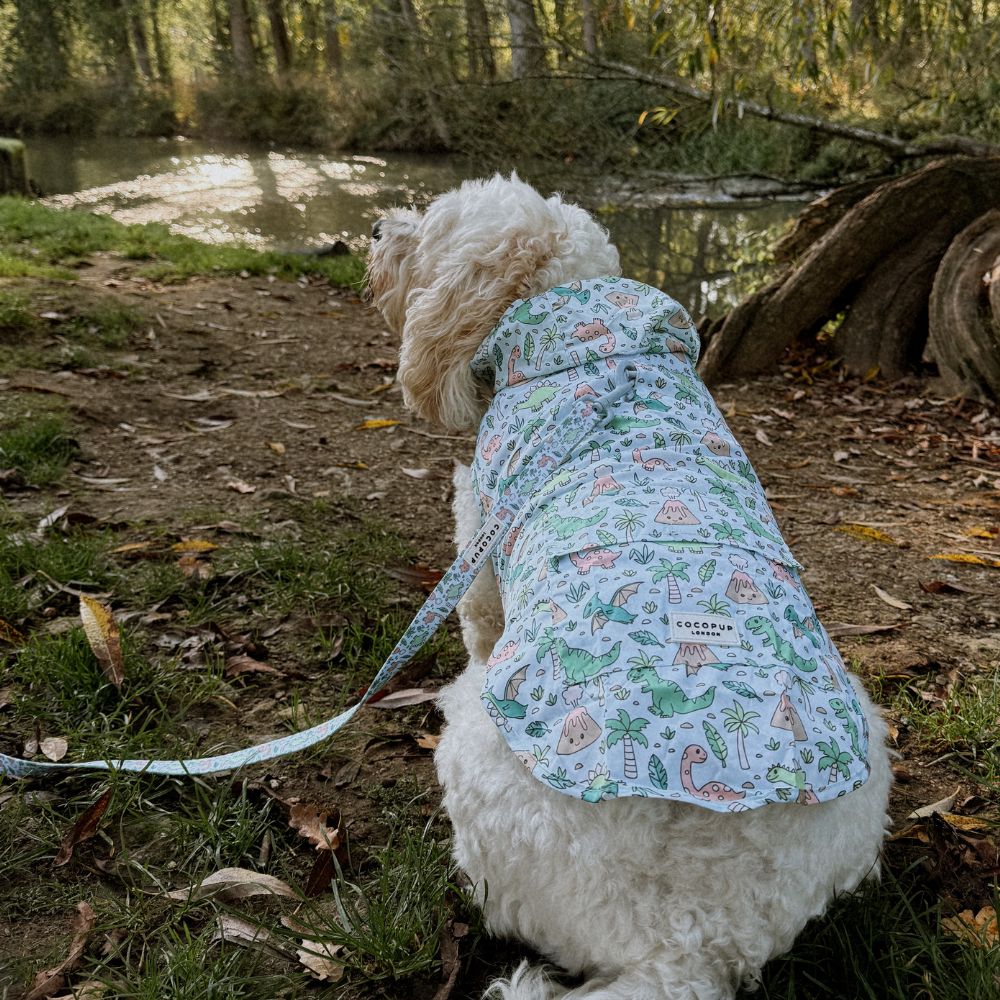 Dog Raincoat - Dinopaws