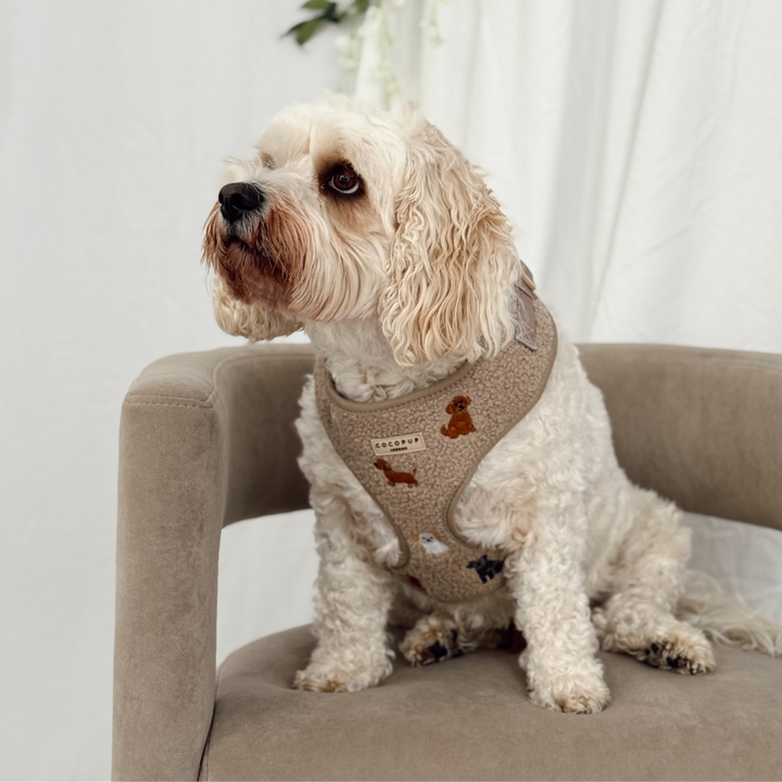 Ralph & Friends Mocha Teddy Adjustable Neck HARNESS