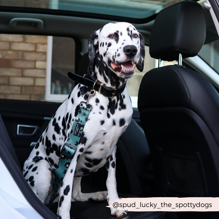 Seat Belt Restraint - Khaki Leopard