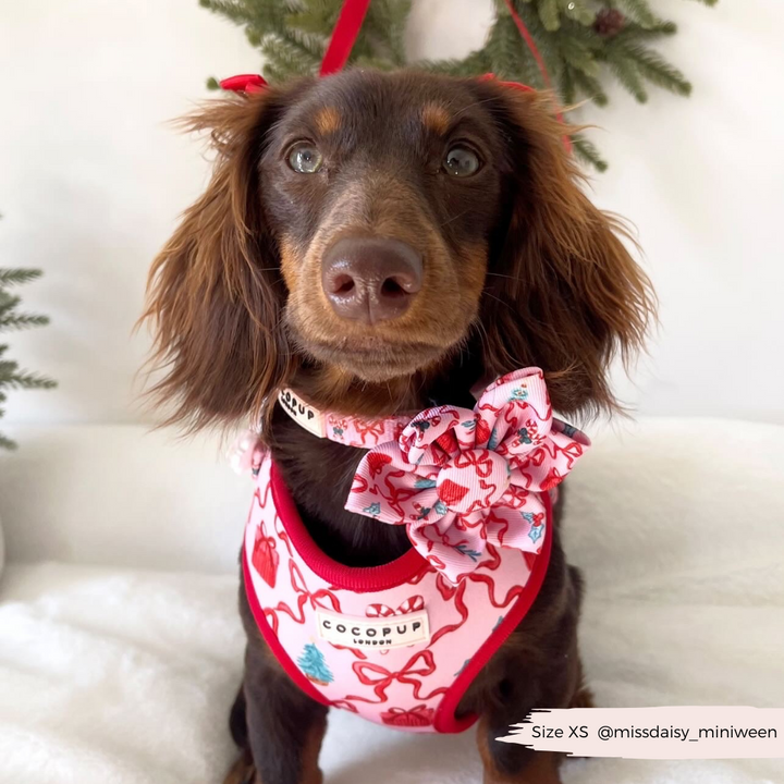 Pupmas Kisses Adjustable Neck Harness