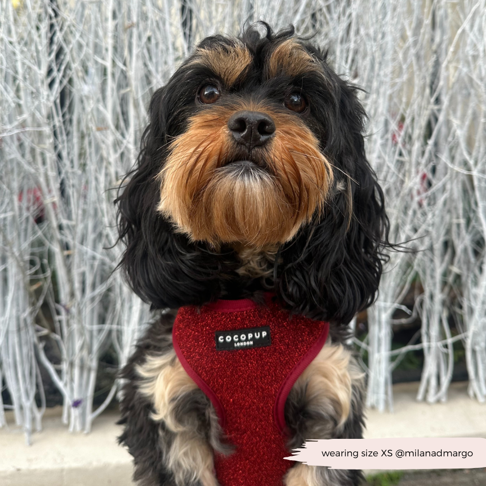 Limited Edition Burgundy Sparkle Pup Adjustable Neck Harness