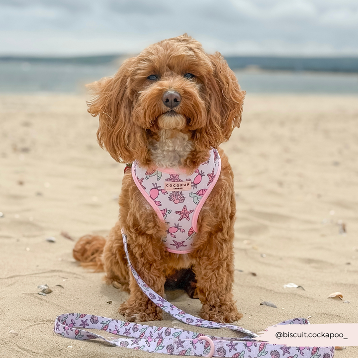 Pawcific Pink Reef Lead