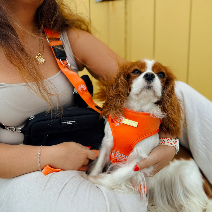 Luxe Velvet Bag Strap - Coral Core