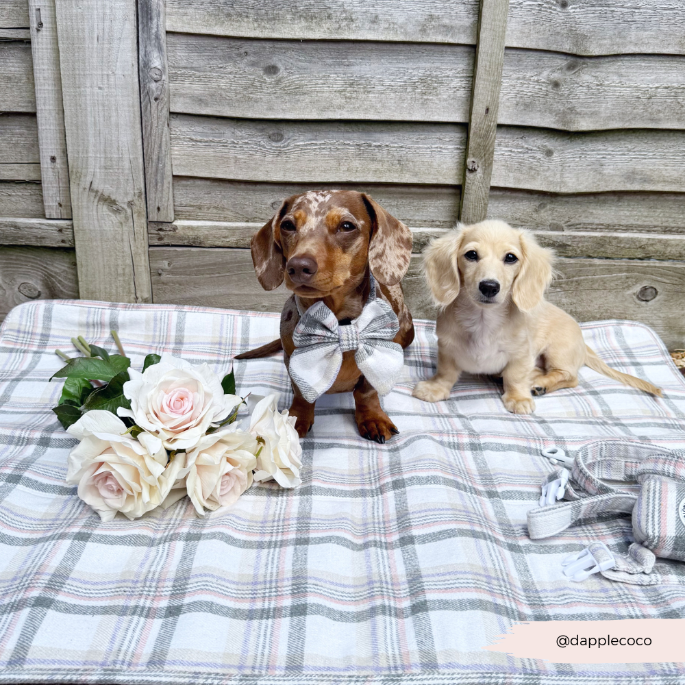 Travel Mat - Oxford Plaid