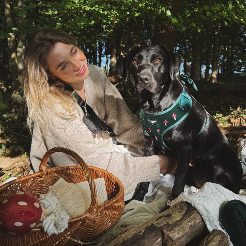 Toadstool Trails Adjustable Neck HARNESS