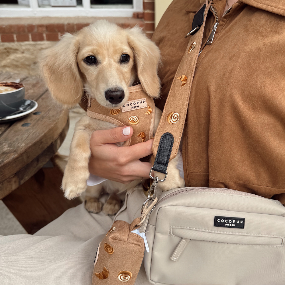 Bag Strap - Pawtisserie