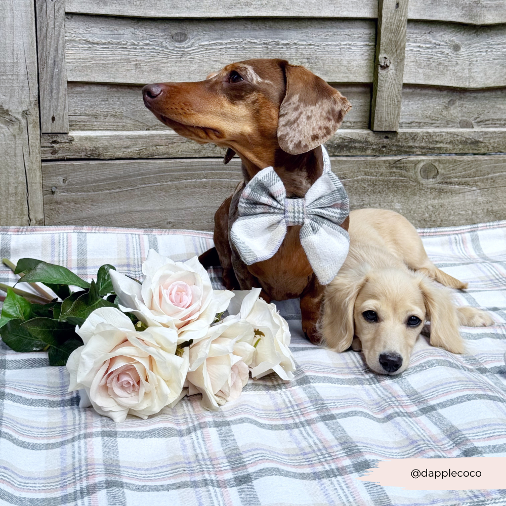 Travel Mat - Oxford Plaid