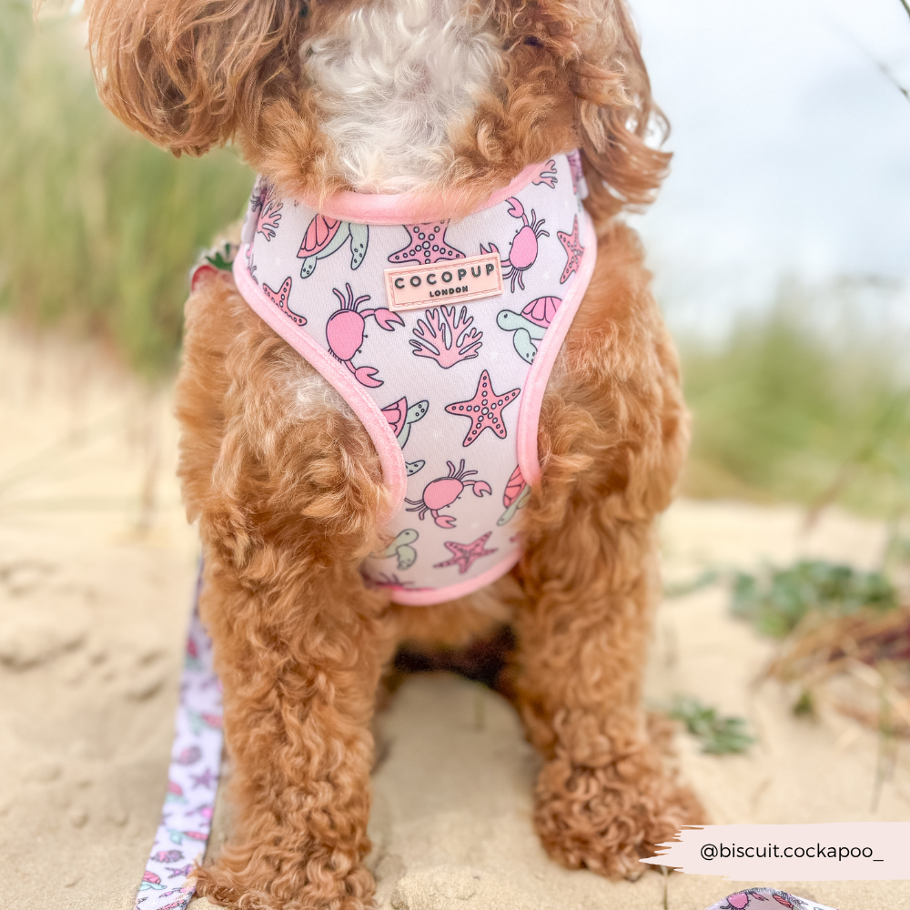 Pawcific Pink Reef Adjustable Neck HARNESS