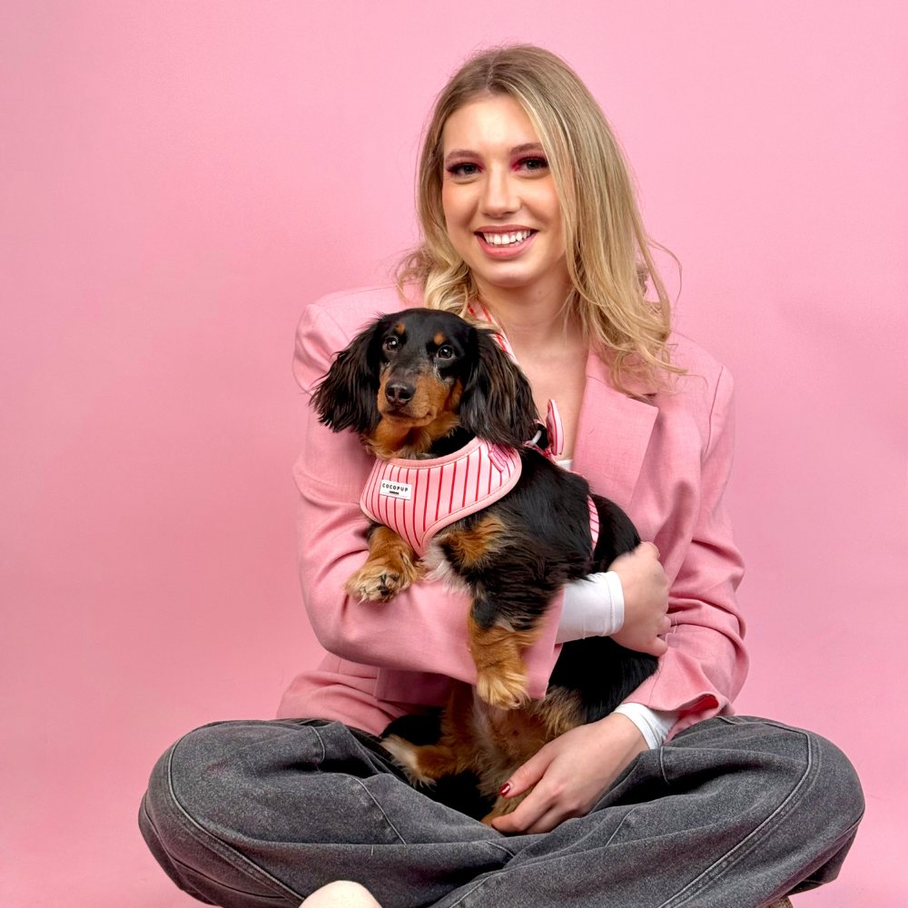 Candy Stripe Adjustable Neck Harness, Lead & Collar Bundle