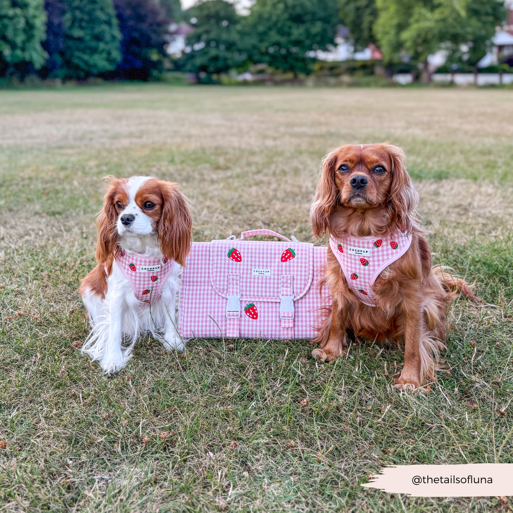 Travel Mat - Strawberry Picnic Pup