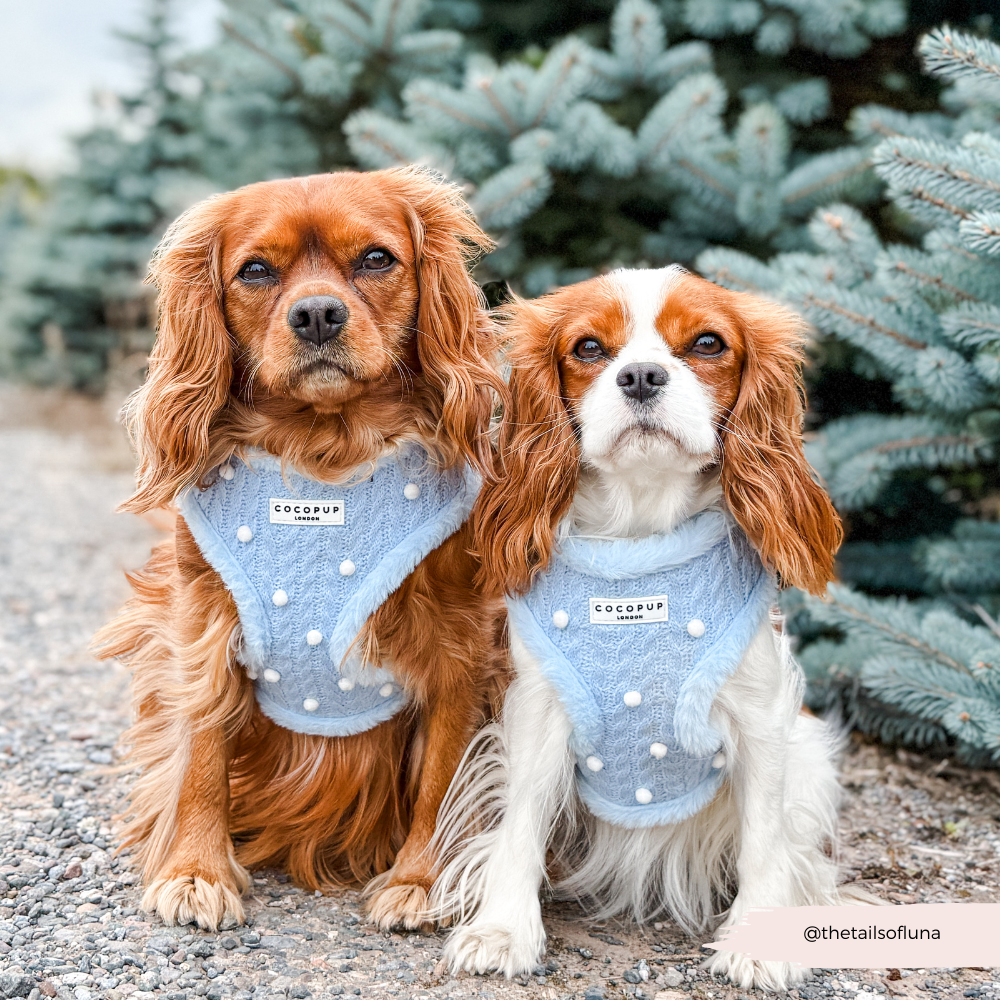 Snowpaws Adjustable Neck HARNESS
