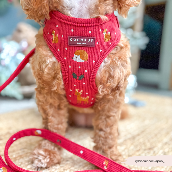 Holly Jolly Trails Adjustable Neck Harness, Lead & Collar Bundle
