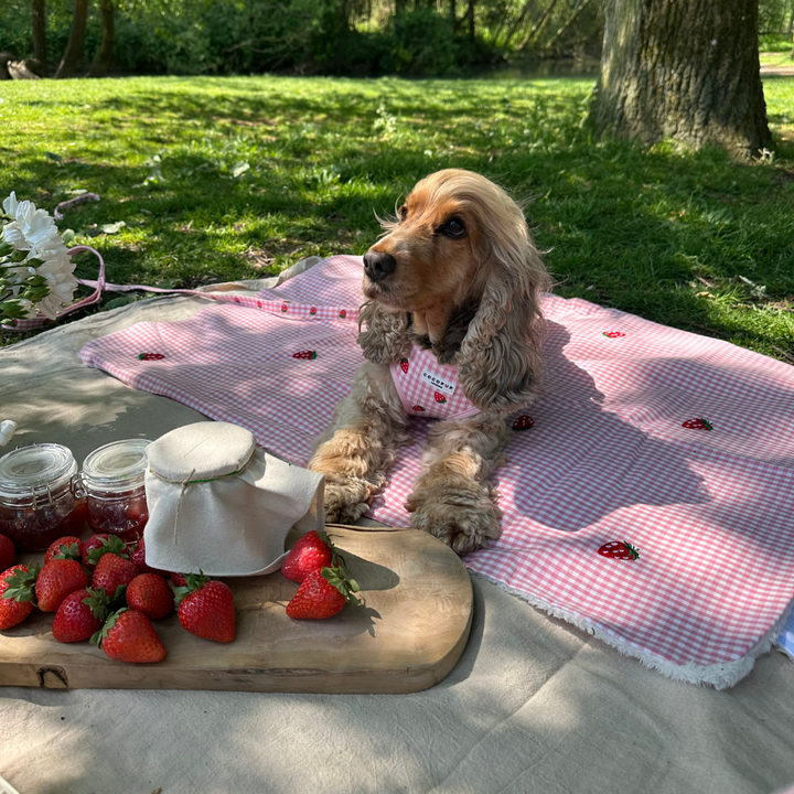 Blanket - Strawberry Picnic Pup