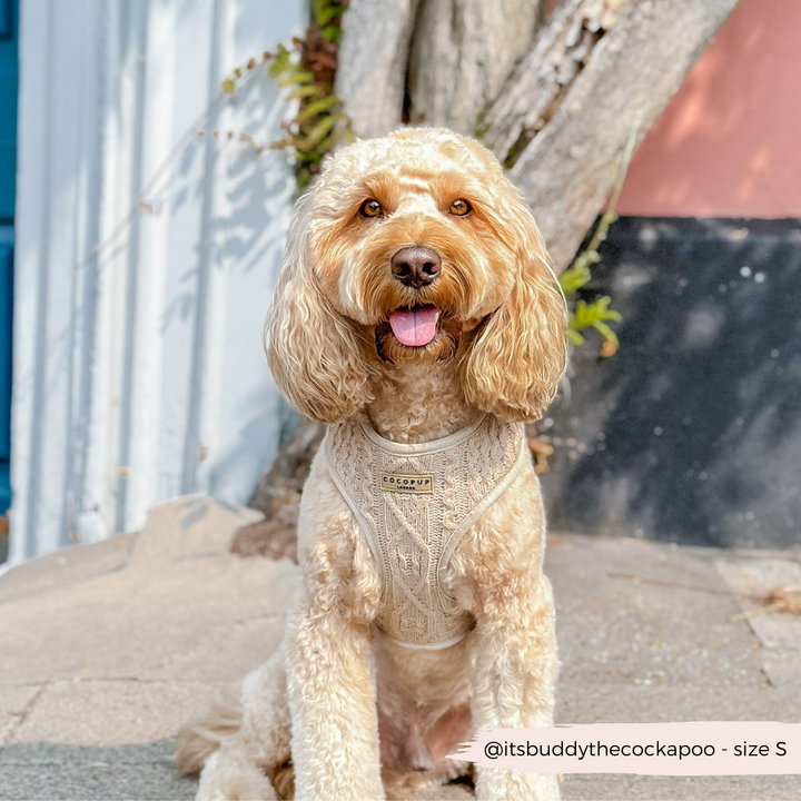 Cable Knit Jumper Adjustable Neck Harness - Toffee Pup Latte