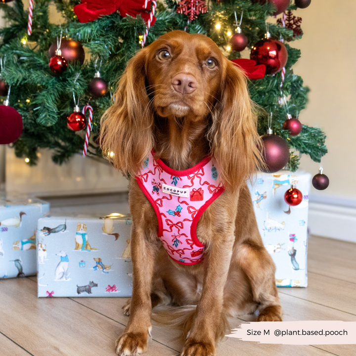 Pupmas Kisses Adjustable Neck Harness