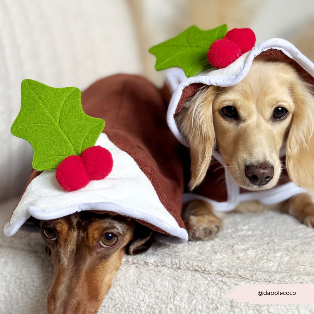 Christmas Pudding Drying Robe