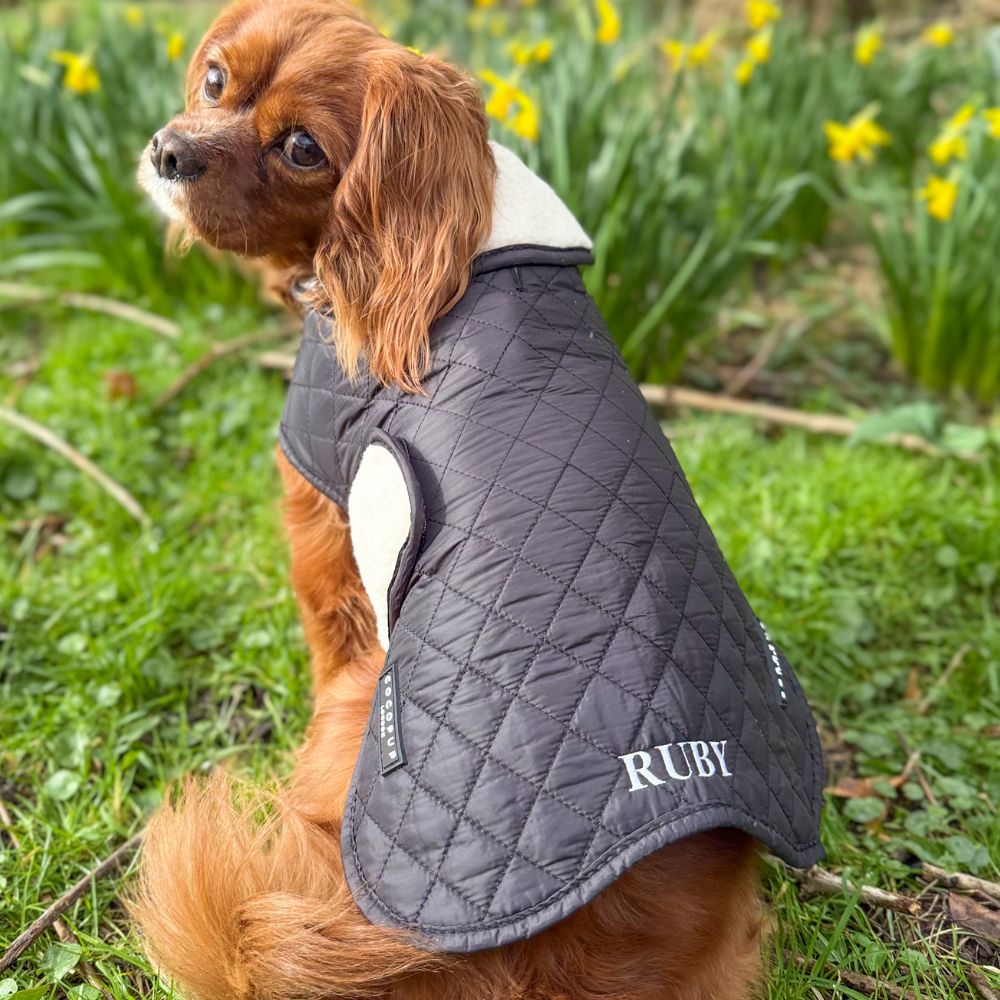 PERSONALISED Quilted Dog Coat - Midnight Black