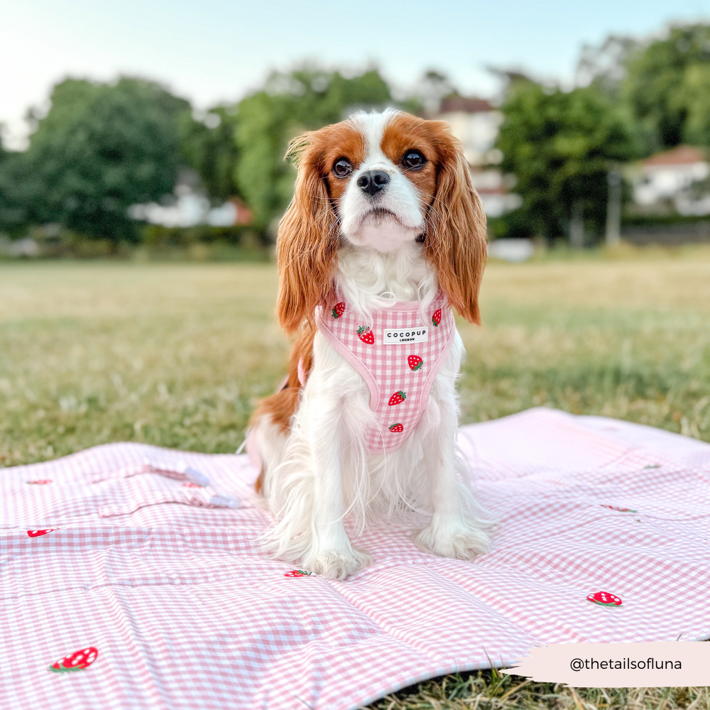Travel Mat - Strawberry Picnic Pup