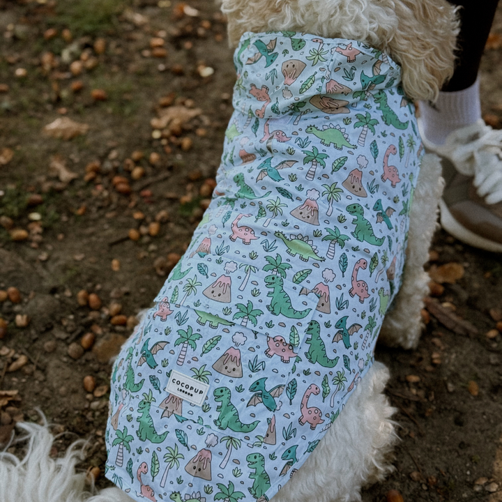 Dog Raincoat - Dinopaws