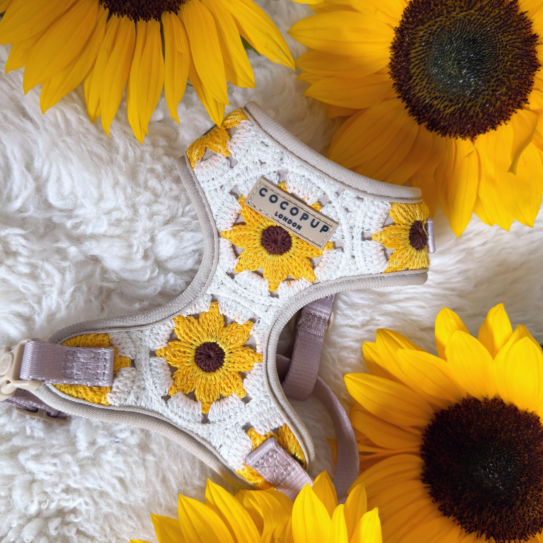 A stylish dog harness with white and beige tones, adorned with crocheted sunflower patterns and labeled "Cocopup London," is showcased on a soft, fluffy white surface. The comfortable pet accessory, known as the Sunflower Patch Adjustable Neck Harness, is surrounded by vibrant yellow sunflowers.