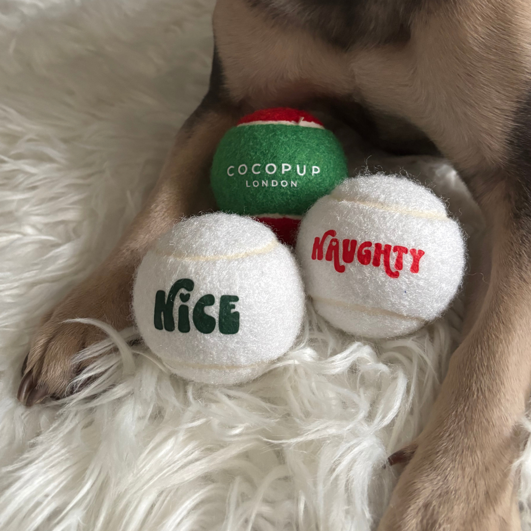 Christmas Tennis Ball Bundle - Red & Green, Naughty and Nice