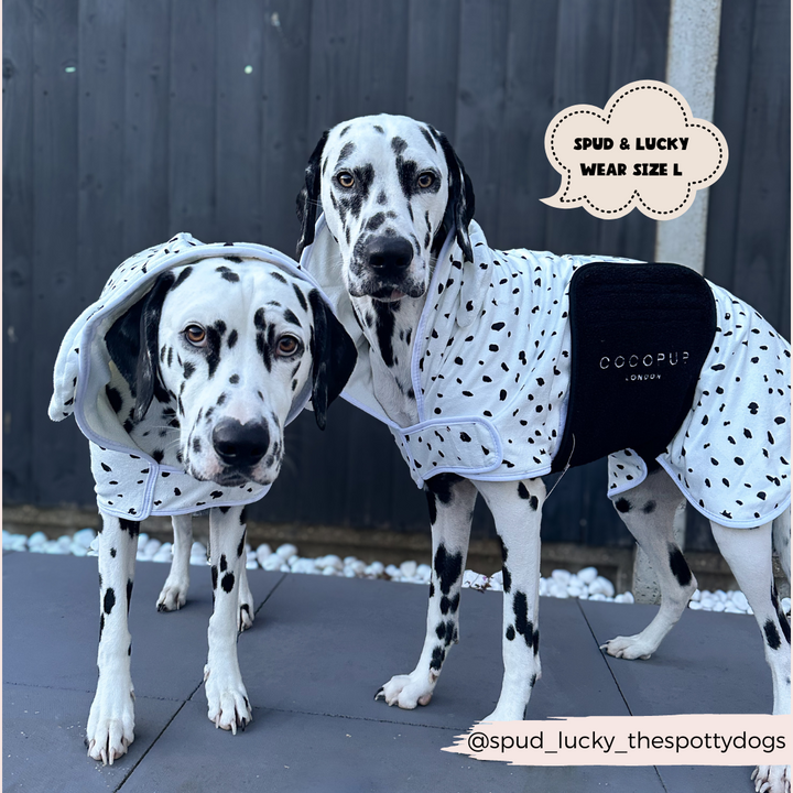 Two Dalmatian dogs stand side by side, wearing matching white hooded jackets adorned with black spots. The jackets, perfect as Dalmatian Drying Robes from Cocopup London, feature the text "COCOPUP LONDON." A caption bubble states, "SPUD & LUCKY WEAR SIZE L," and the handle "@spud_lucky_thespottydogs" is.