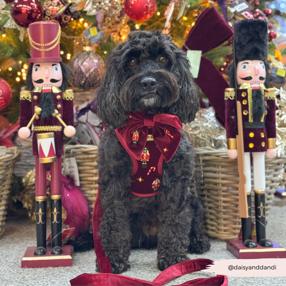 The Muttcracker Sailor Bow Tie