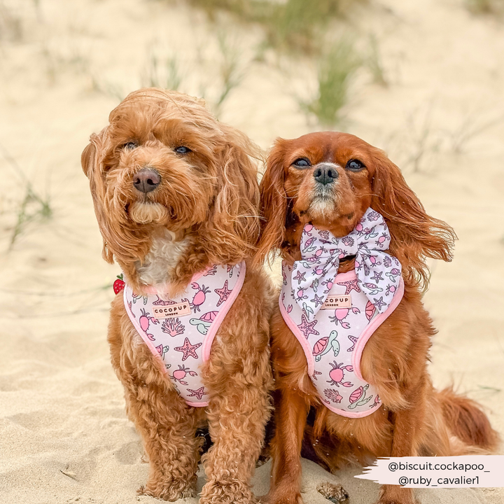 Pawcific Pink Reef Adjustable Neck HARNESS