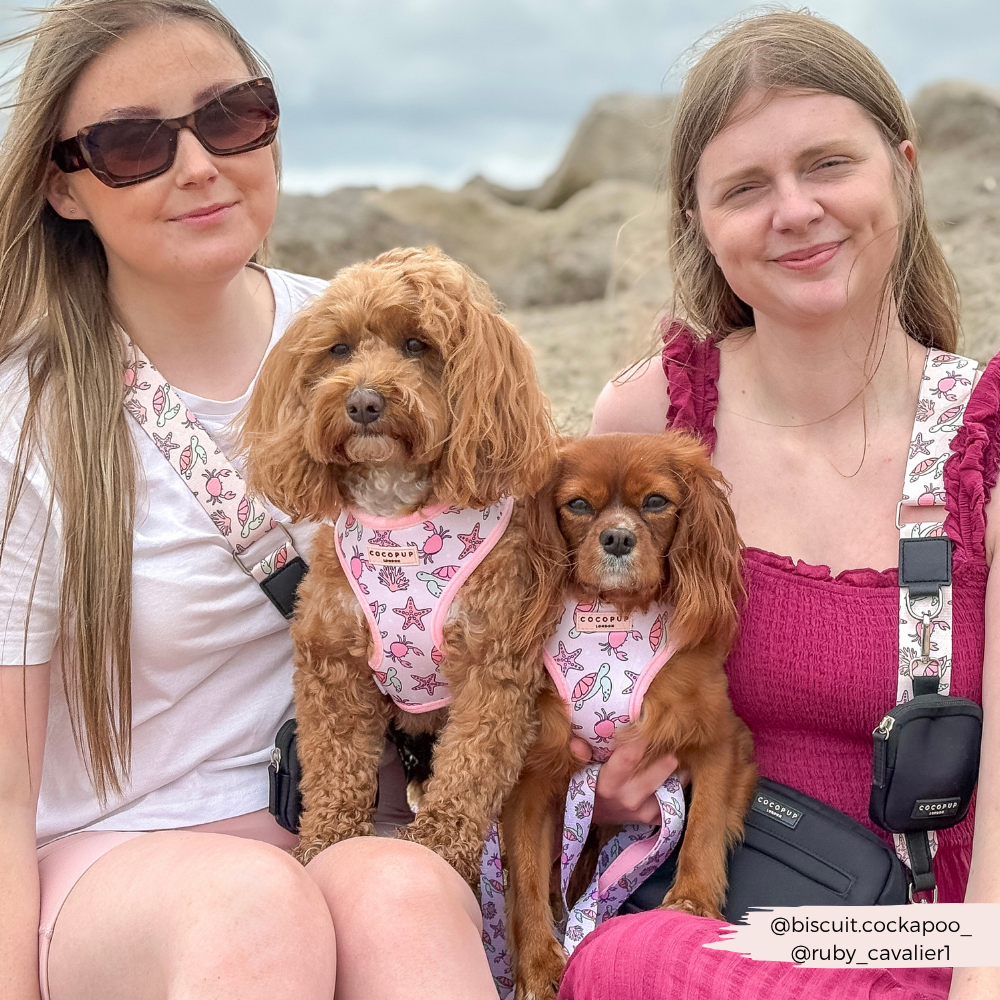 Bag Strap - Pawcific Pink Reef