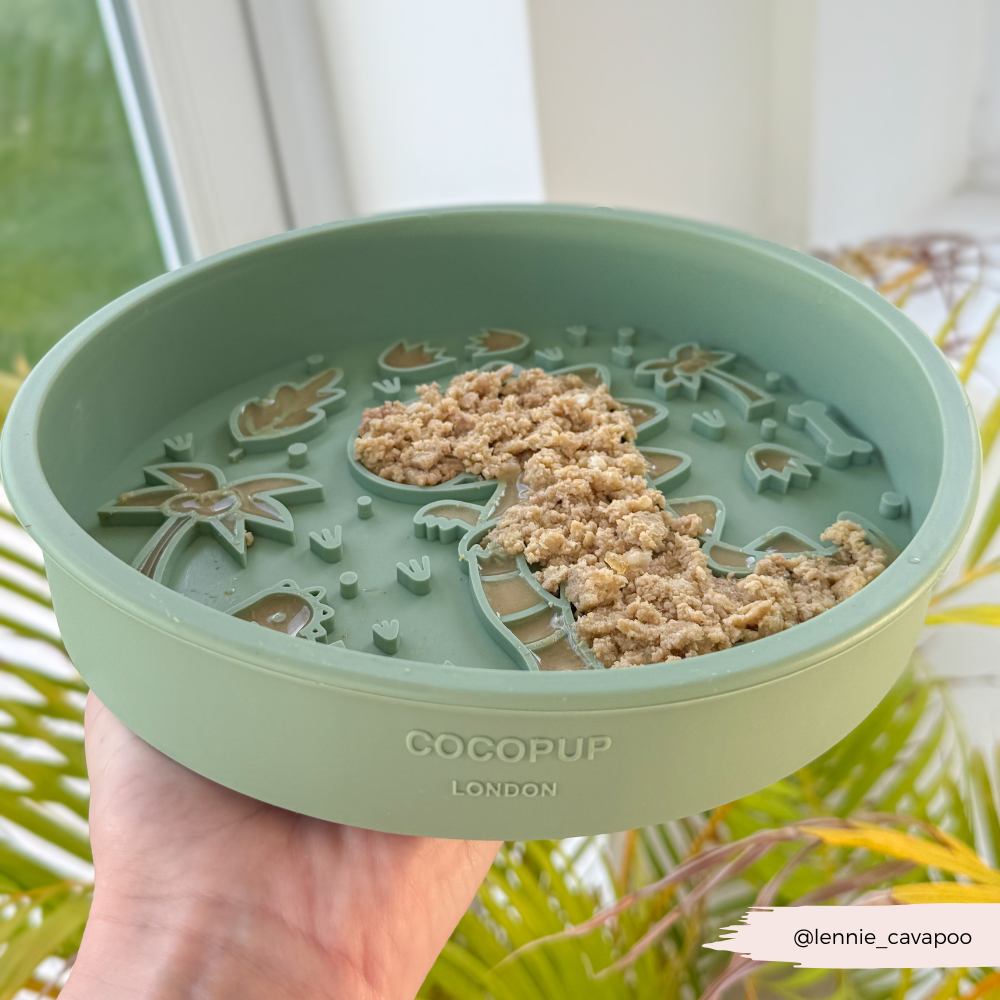 Silicone Slow Feed Dog Bowl - Dinopaws