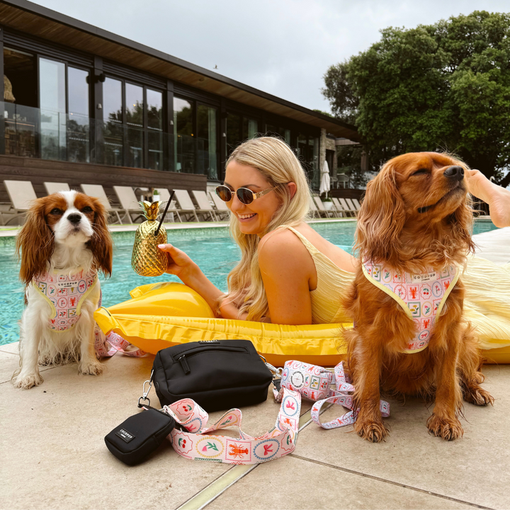 Dolce Vita Adjustable Neck HARNESS