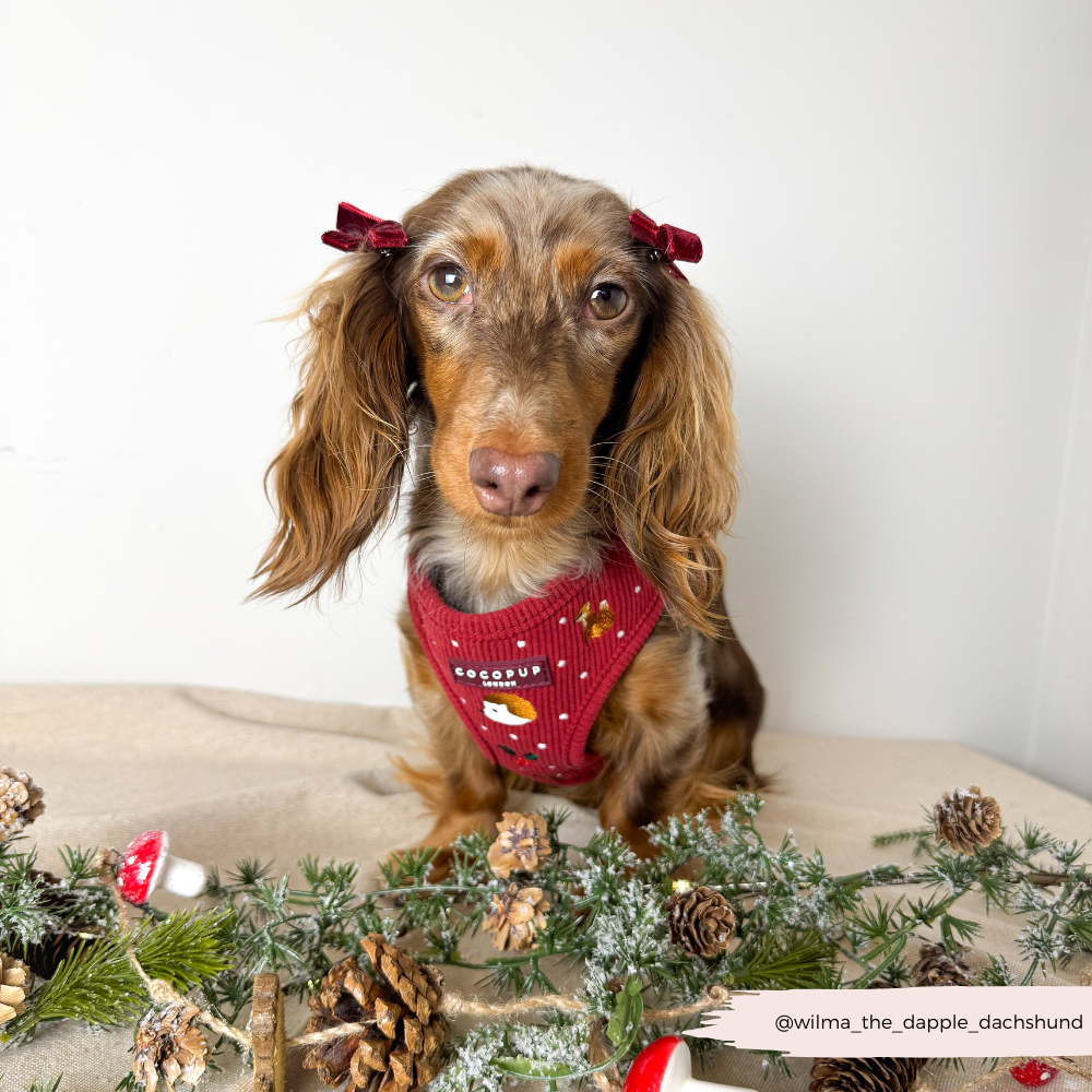 Holly Jolly Trails Adjustable Neck HARNESS