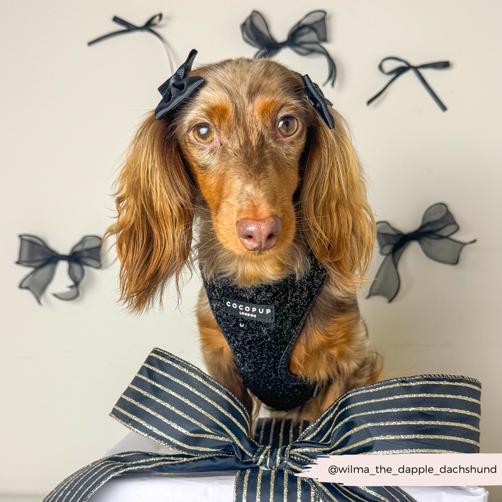 Limited Edition Sparkle Season Black Adjustable Neck HARNESS