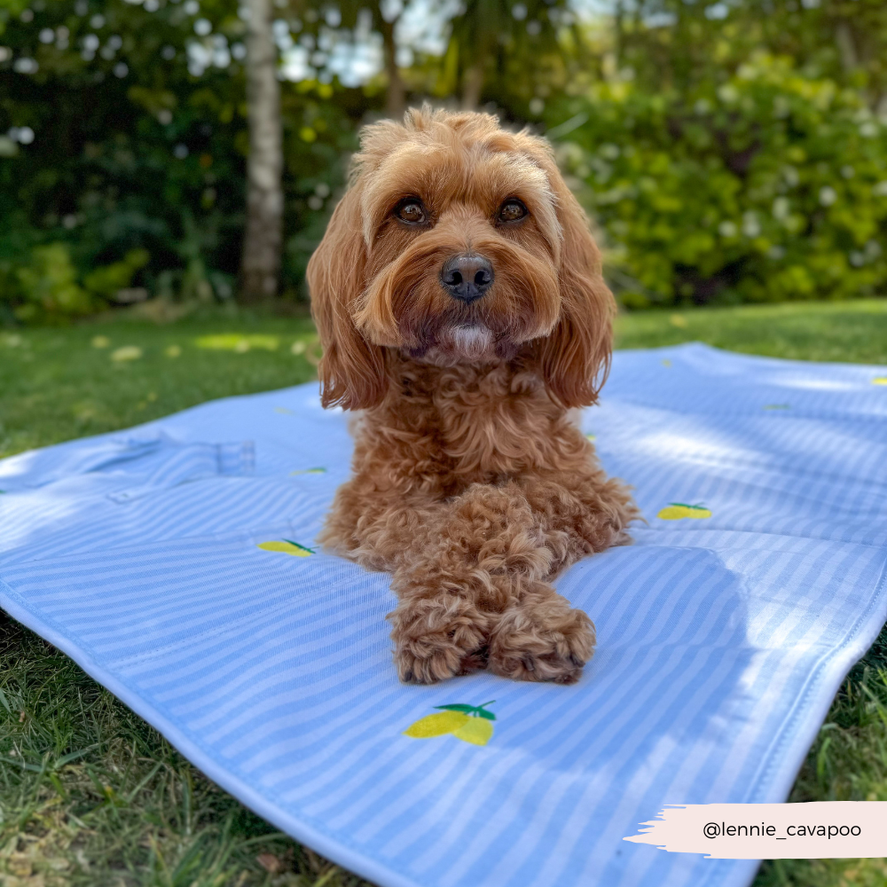 Travel Mat - Living La Vida Lemon