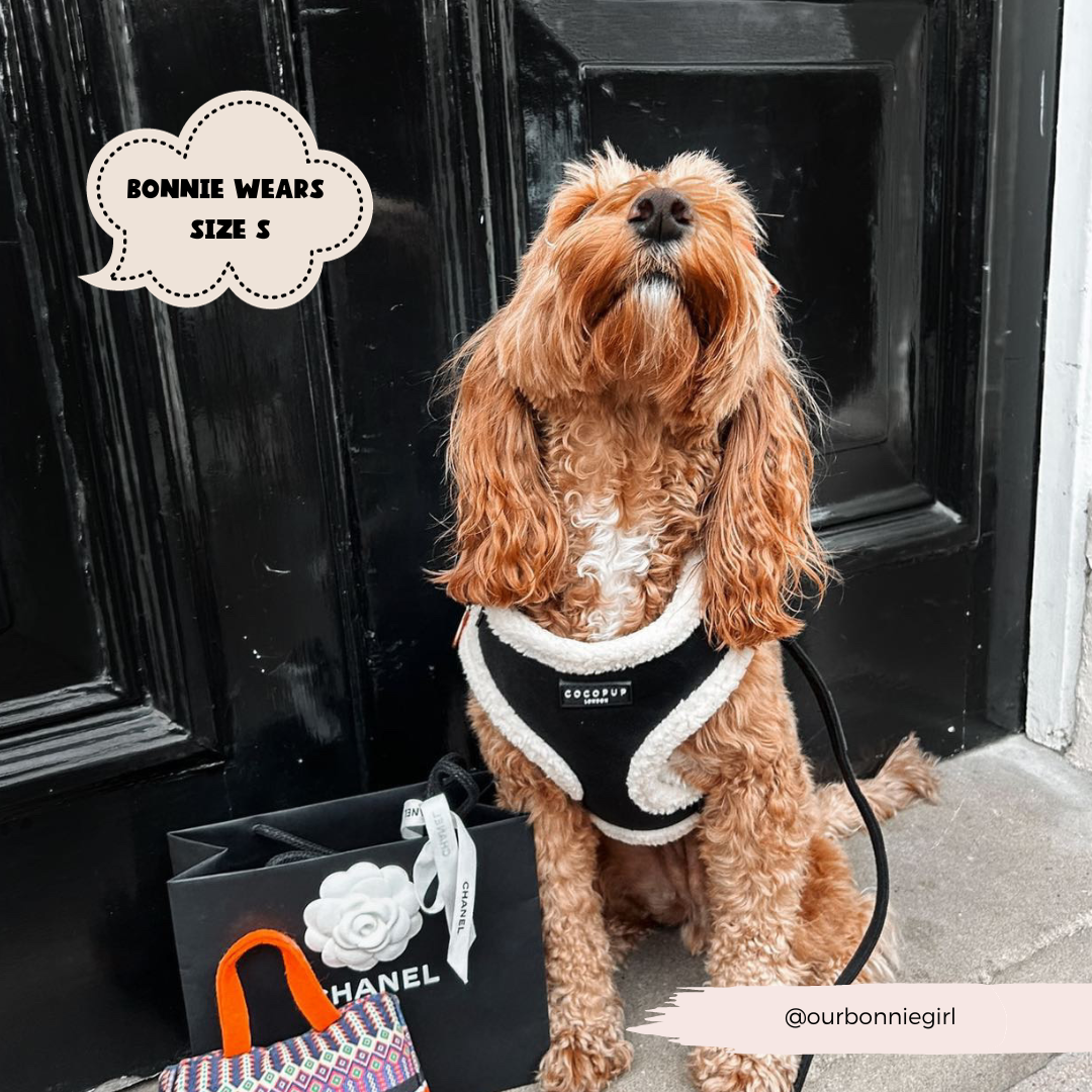 A curly-haired dog wearing a Black Aviator Adjustable Neck Harness, Lead & Collar Bundle from Cocopup London sits in front of a black door. Next to the dog are shopping bags, one of which is labeled "Chanel." A speech bubble above the dog reads "Bonnie wears size S." The Instagram handle "@ourbonniegirl" is visible in the corner.