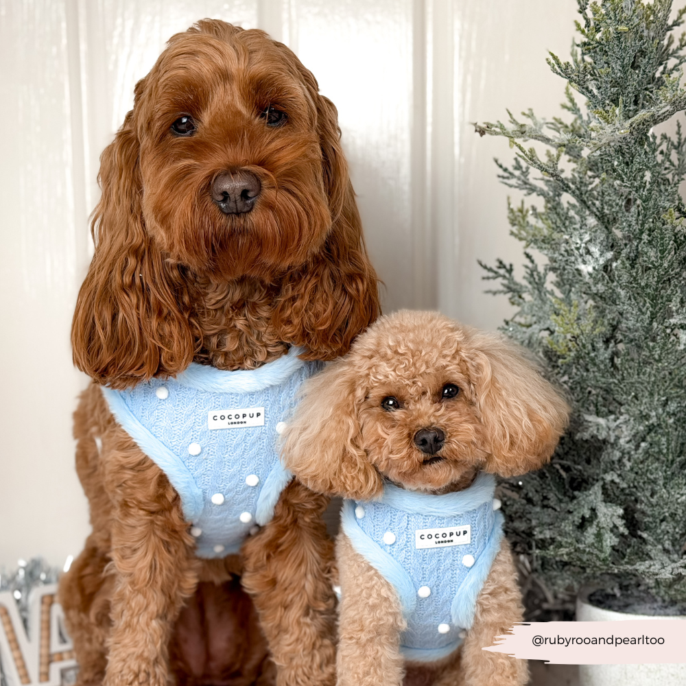 Snowpaws Adjustable Neck HARNESS