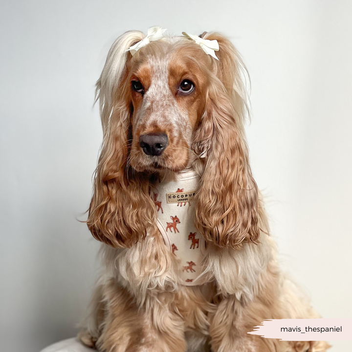 Fleecy Fawn Adjustable Neck Harness, Lead & Collar Bundle