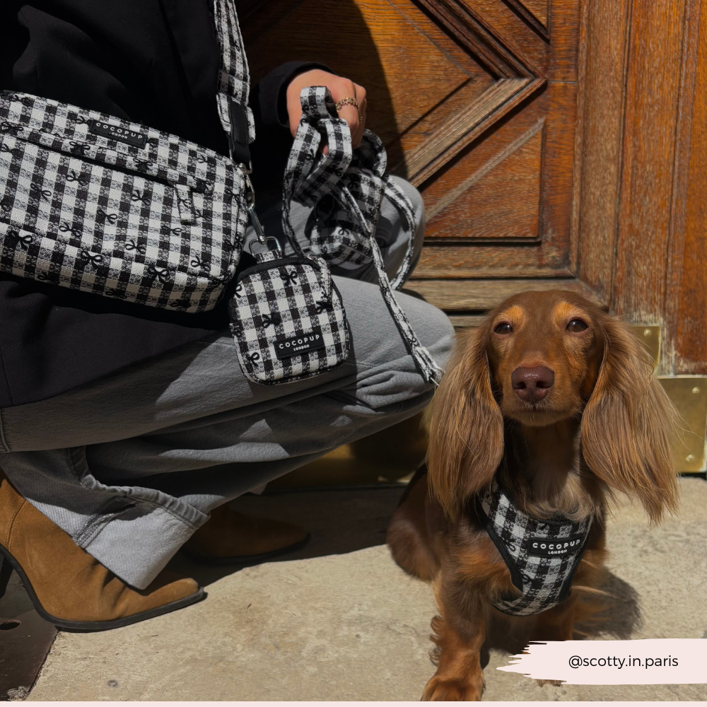 Treat Pouch - Pup in Paris