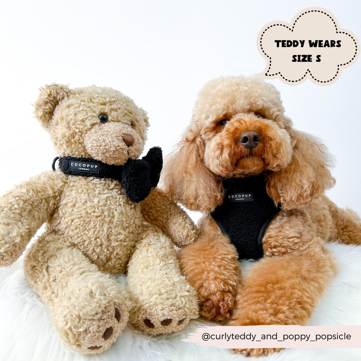 Teddy Baloo Adjustable Neck Harness, Lead & Collar Bundle