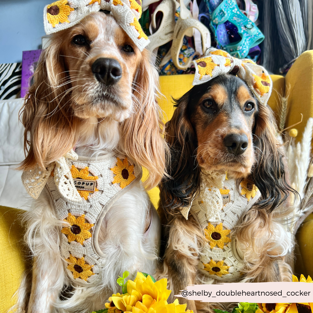 Sunflower Patch Sailor Bow Tie