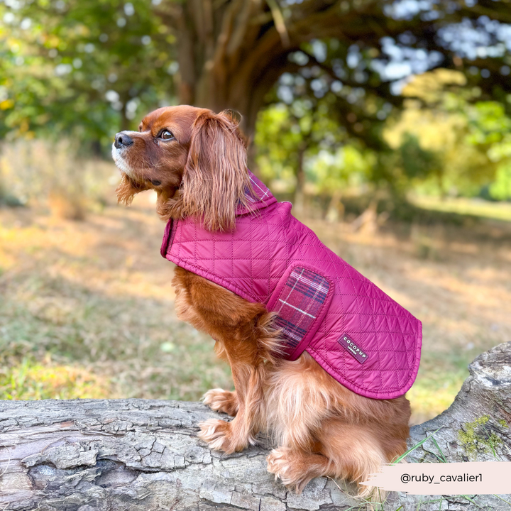 Quilted Dog Coat - Mulberry Plaid