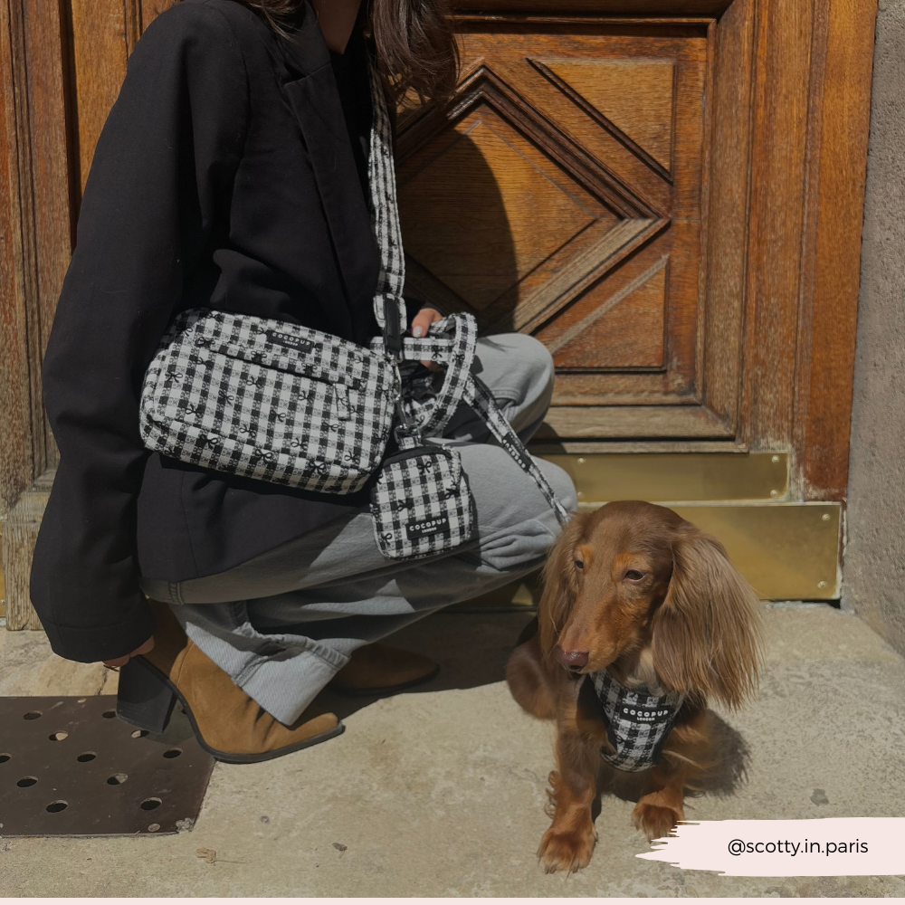 Bag Strap - Pup in Paris