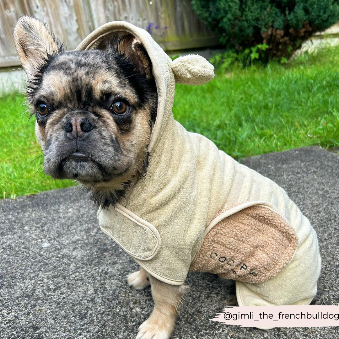 Teddy Drying Robe