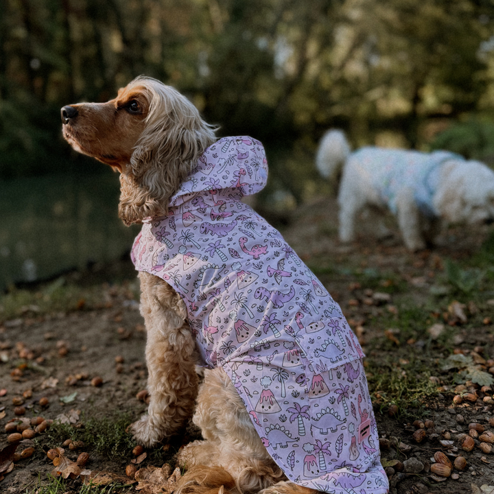 Dog Raincoat - Princess Dino