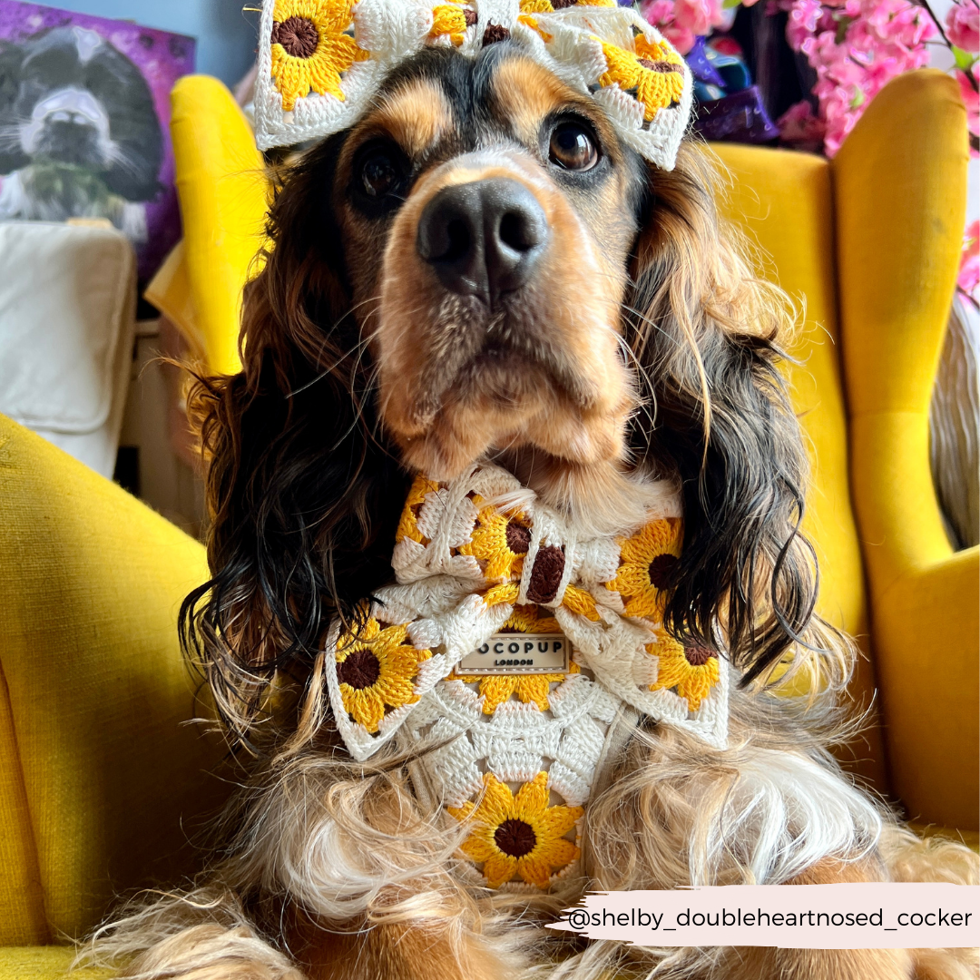 Sunflower Patch Adjustable Neck Harness