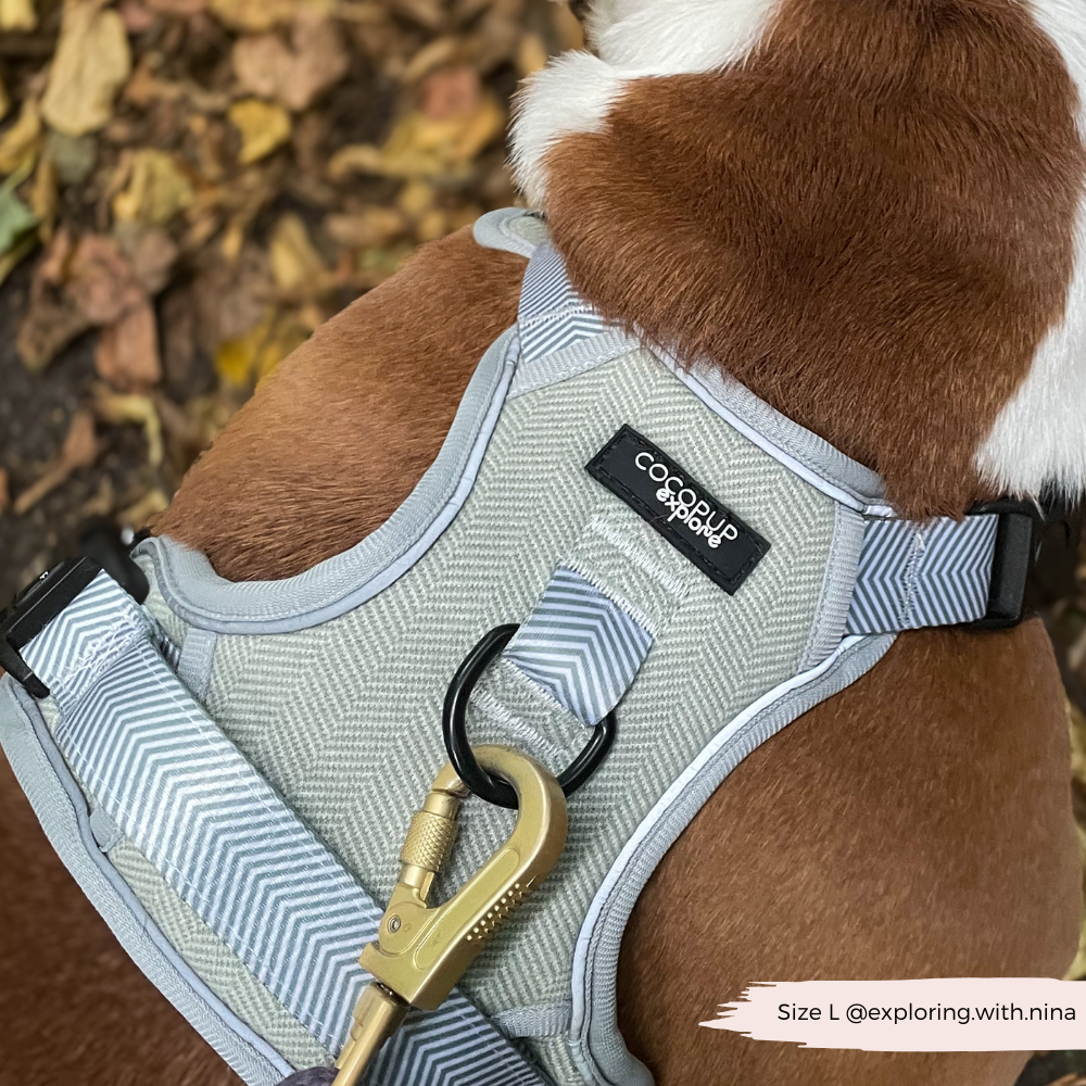 Explore Harness - Sage Tweed