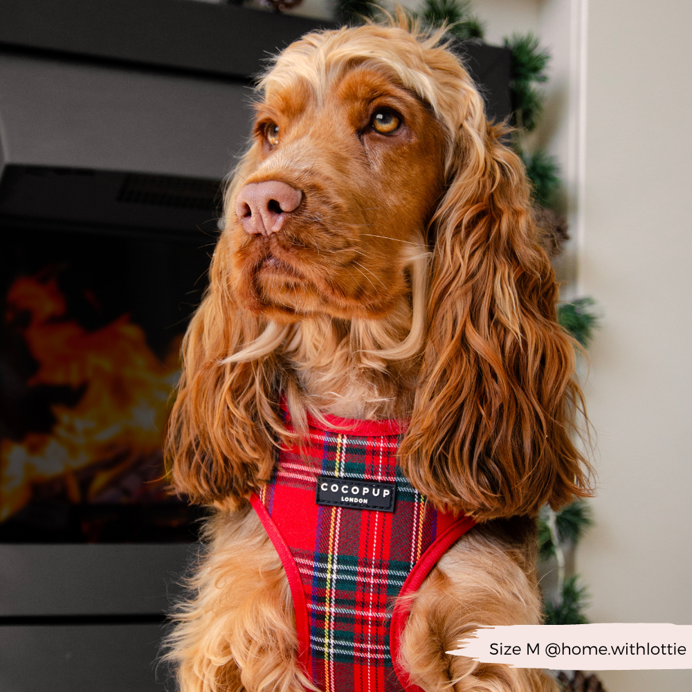 Tartan Adjustable Neck Harness