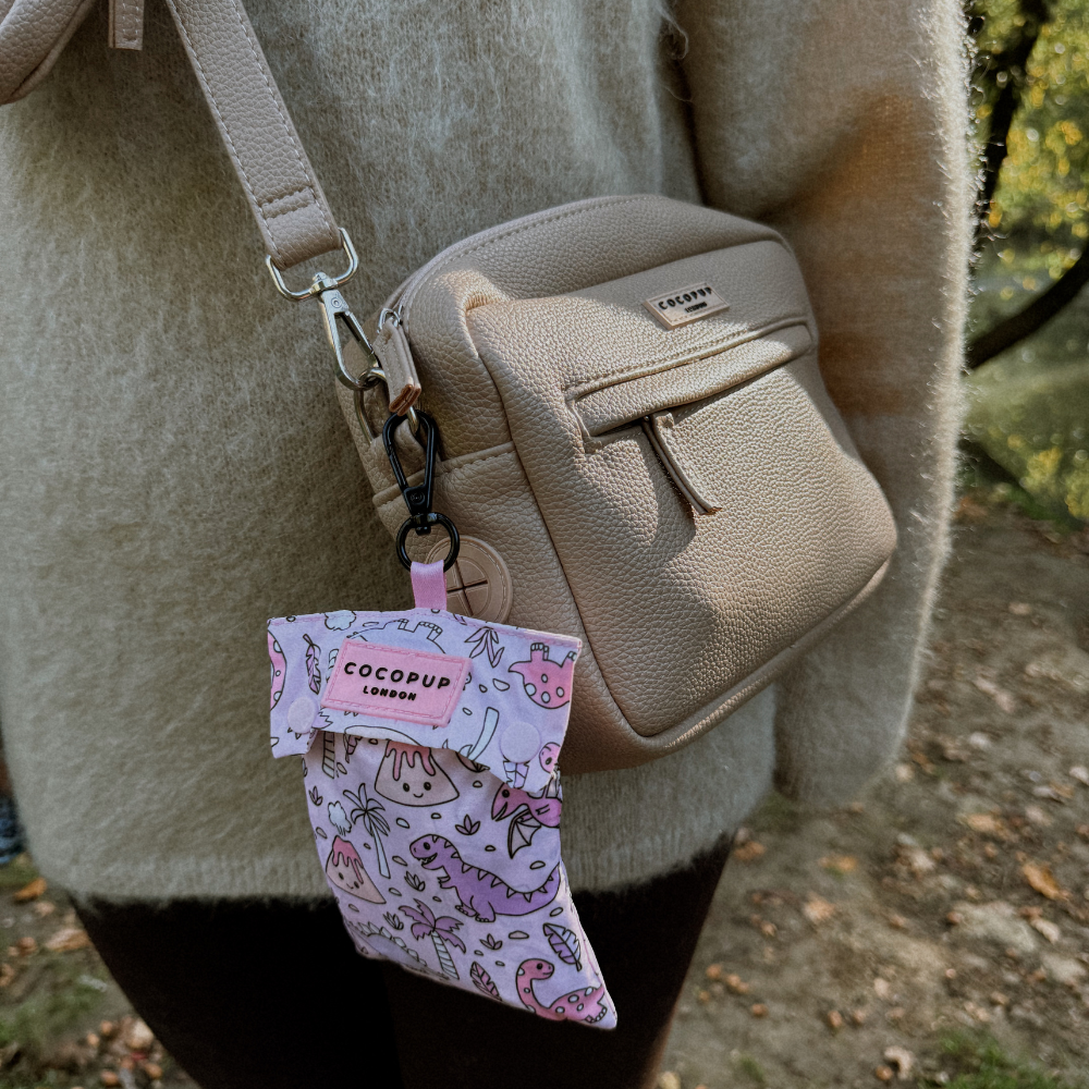 Dog Raincoat - Princess Dino