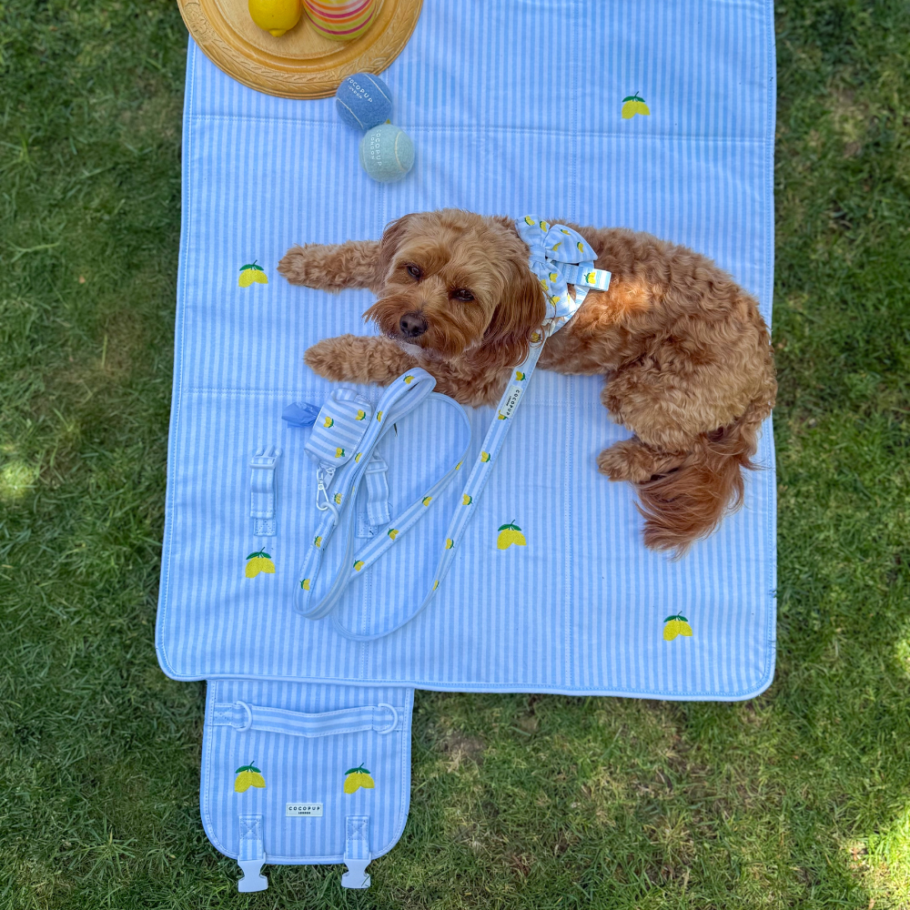 Travel Mat - Living La Vida Lemon